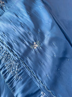 Tissue organza Saree/ HW319