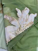 Soft oragnza saree/LK50