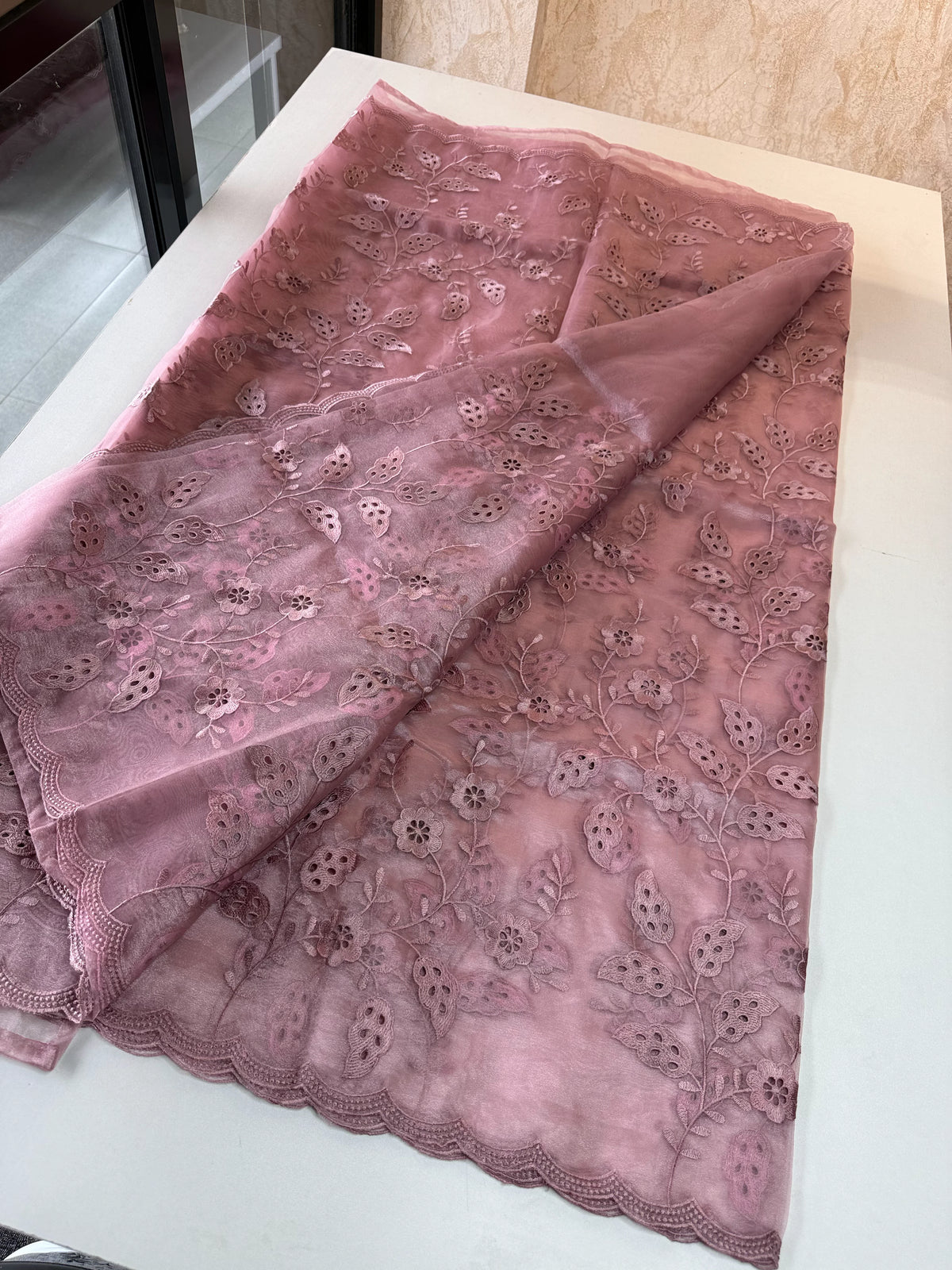 Organza Saree/GCW48