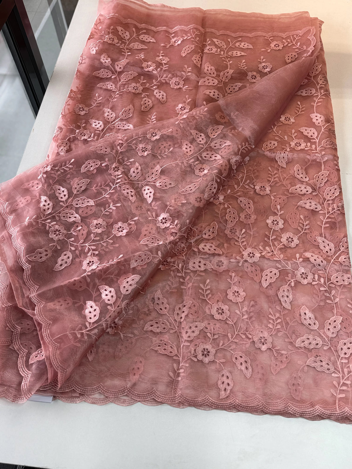 Organza Saree/GCW48