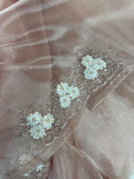Glass Organza Saree/ HW23