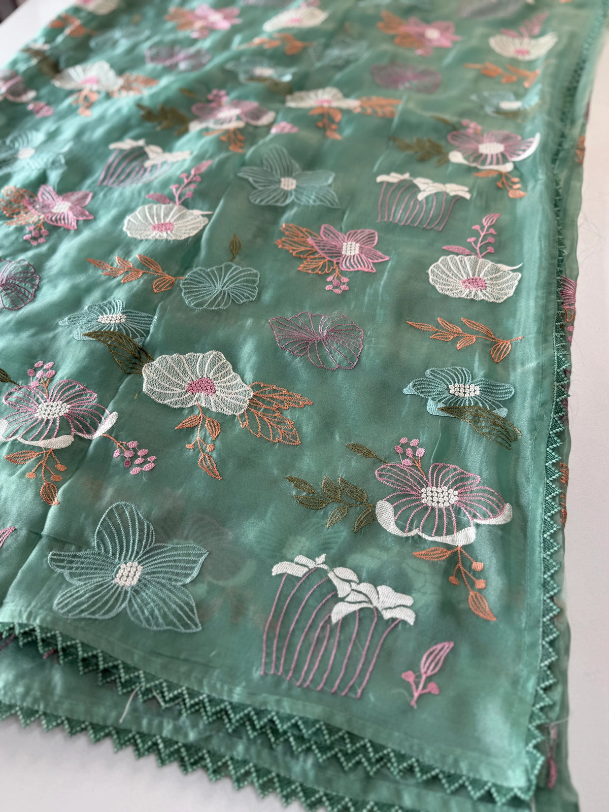 Viscous Organza Saree/ RKF25