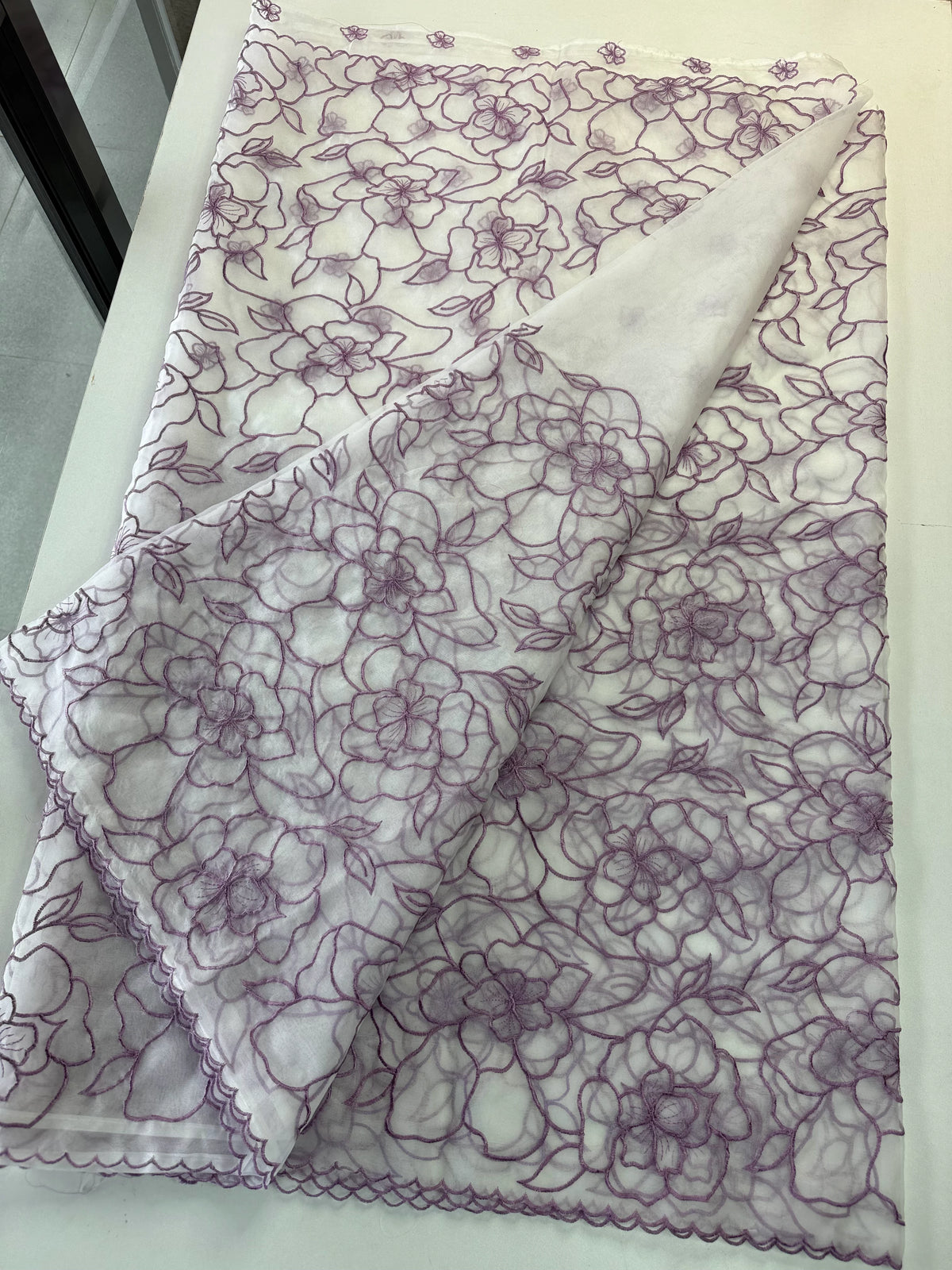 Soft OrganzaSaree/ CW311