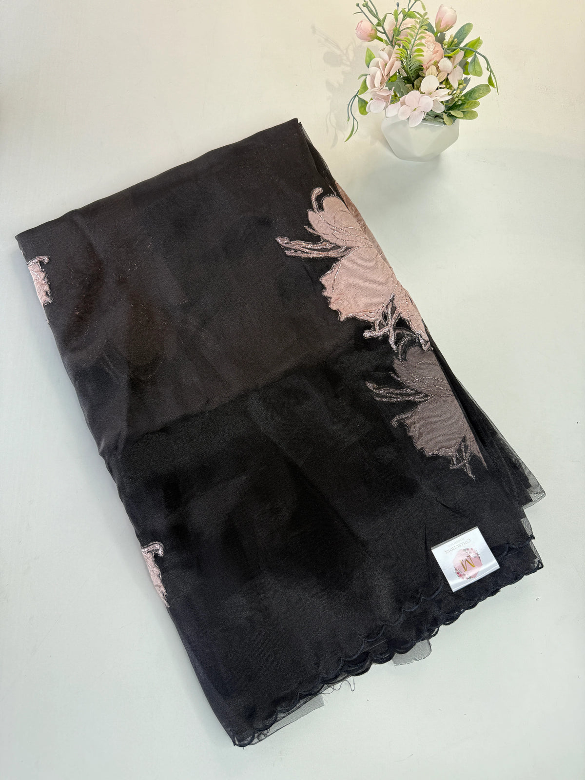 Glass Organza Saree/ KB24
