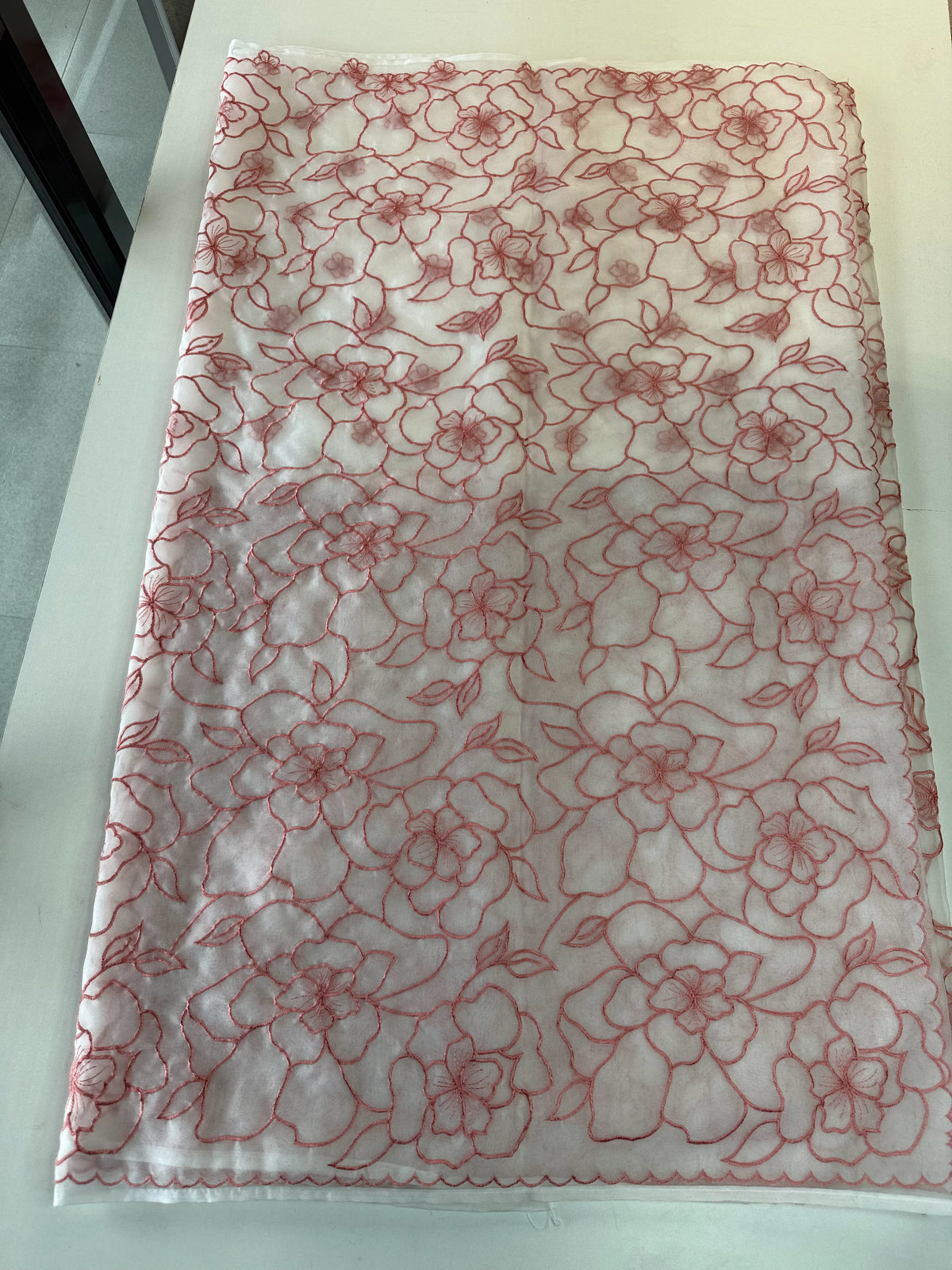 Soft OrganzaSaree/ CW311