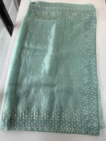 Soft Organza Saree/ CW533