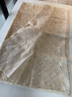 Organza Saree / CW316