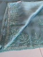 Glass Organza Saree/SP86