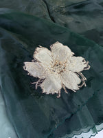 Glass Organza Saree/ KB24