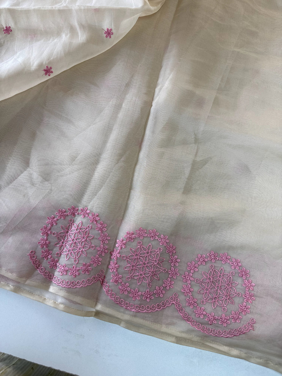 Organza Saree/ CW203