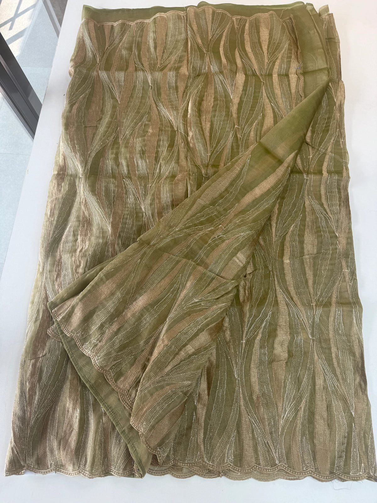 Shimmer Georgette(organza blend )Saree / CW349