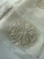 Glass Organza Saree/ LK35