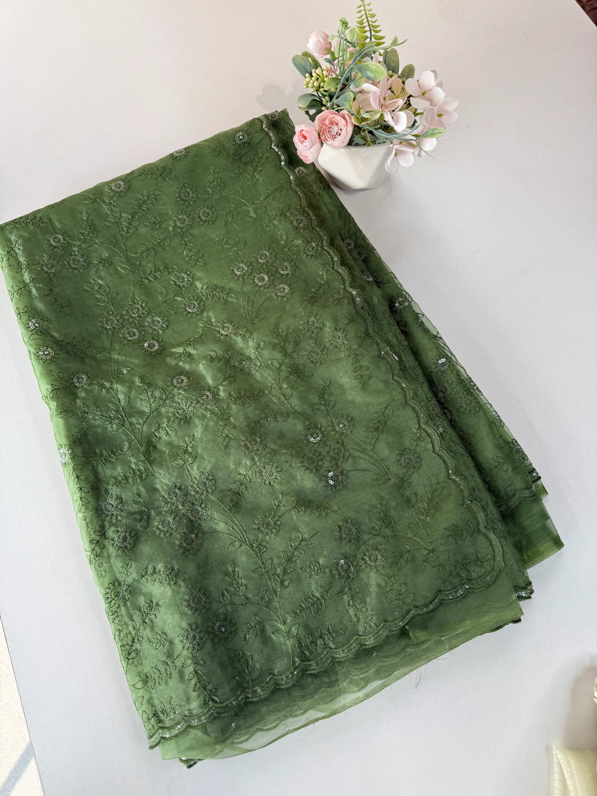 Soft Organza saree /CW239