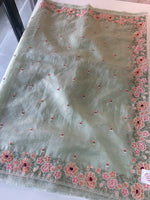 Platinum crushed Oragnza saree/BB519