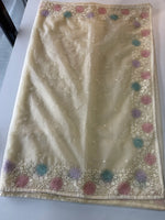 Soft oragnza saree/ CW1055