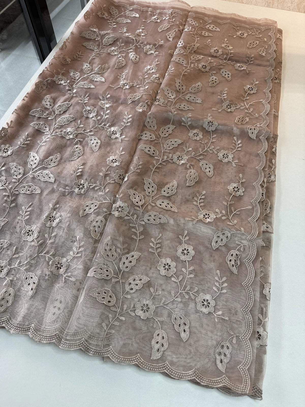 Organza Saree/GCW48