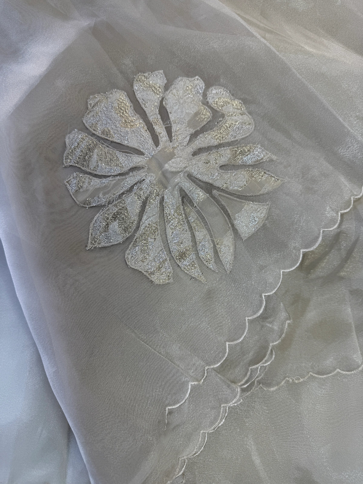 Glass Organza Saree/ LK35