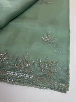 Glass Organza Saree/SP86