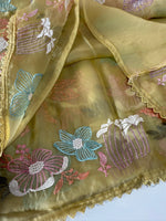 Viscous Organza Saree/ RKF25