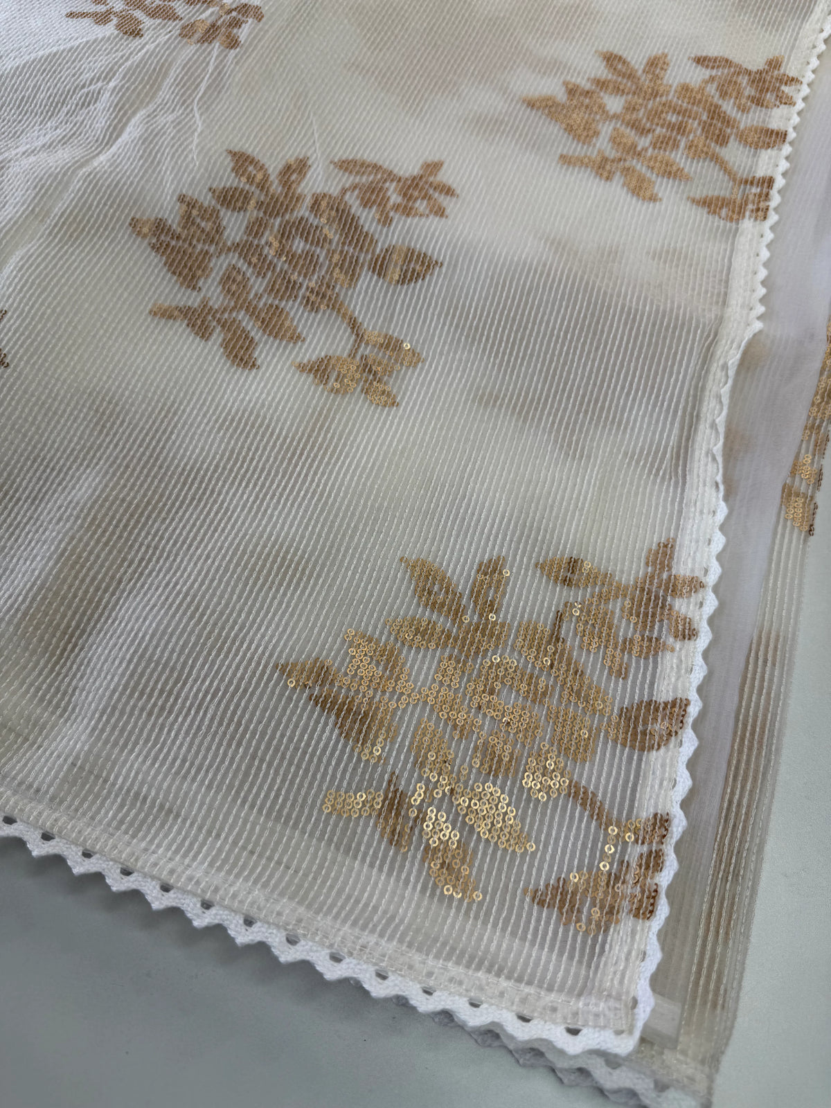 OrganzaSaree / CW348