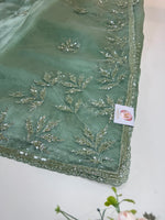 Glass Organza Saree/SP86