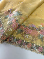 Glass organza saree/ 155B
