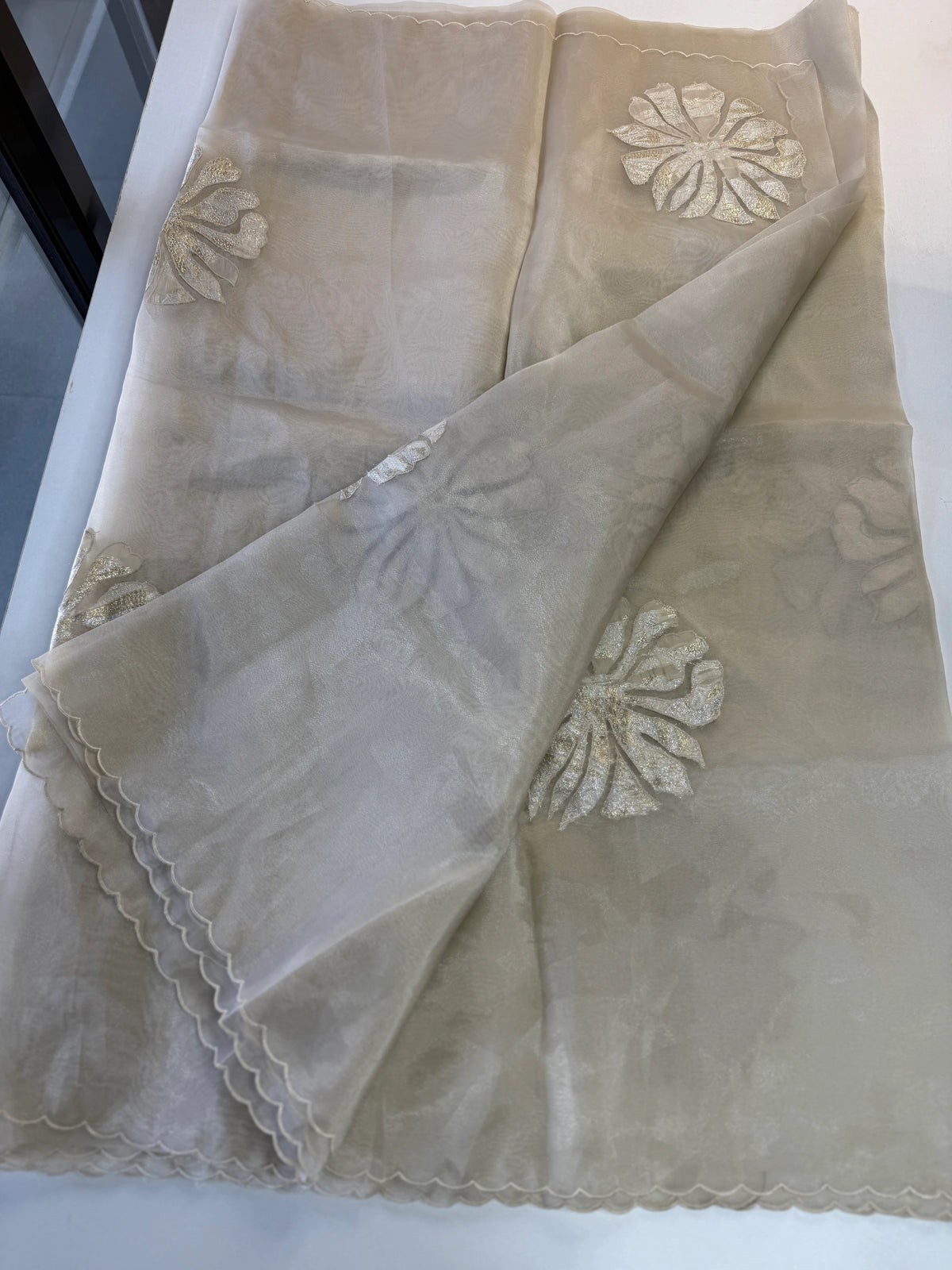 Glass Organza Saree/ LK35