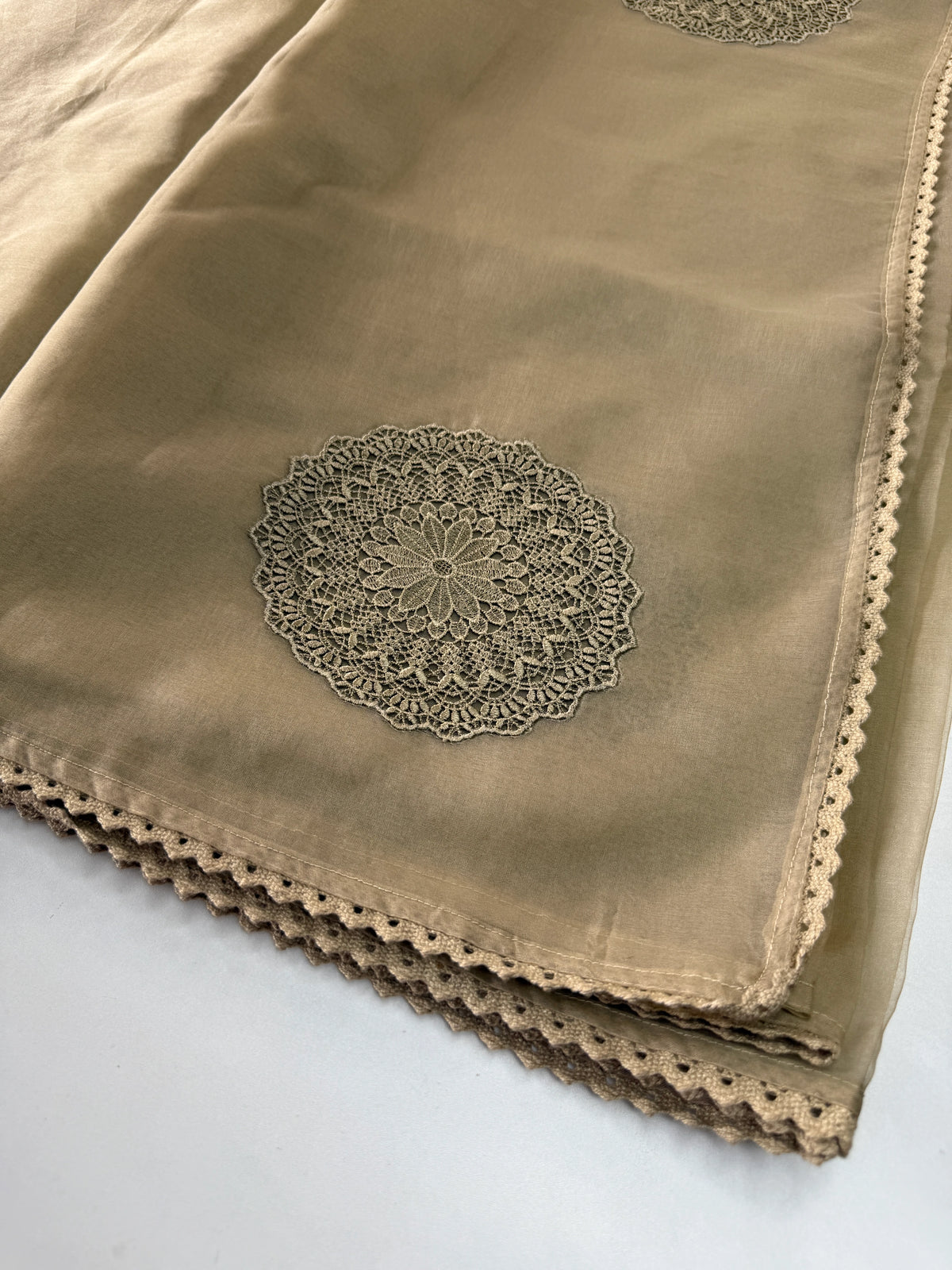 Soft organza saree/ LK83