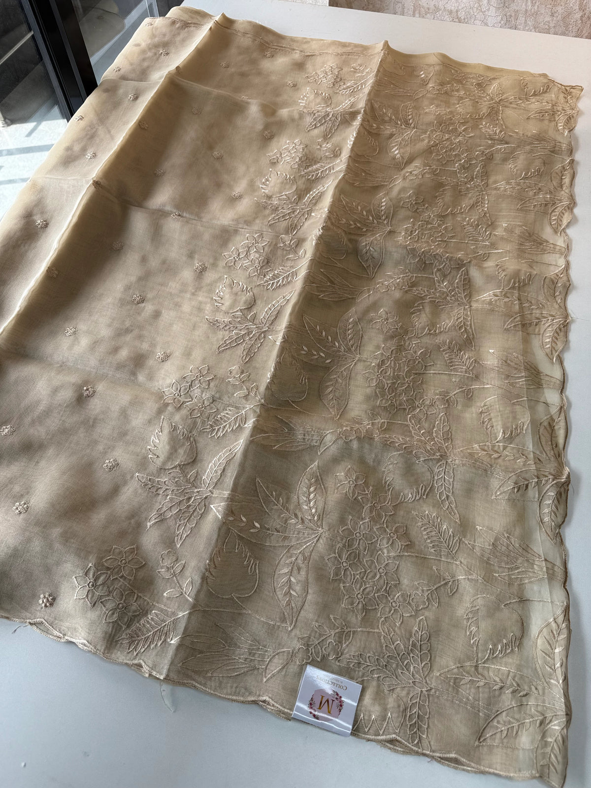 Chanderi Tissue Blend saree/ RF54