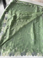 Chiffon saree / CW040