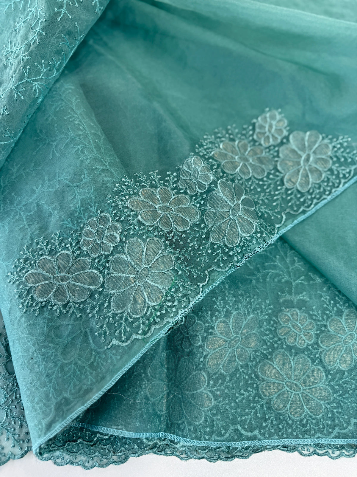 Organza Saree/ CW436