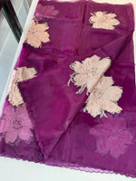 Glass Organza Saree/ KB24