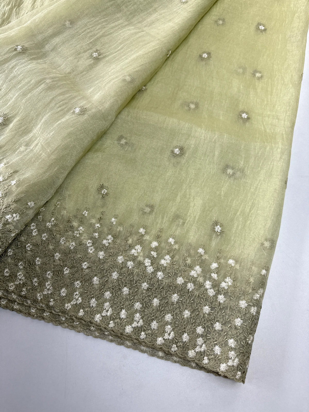 Soft Organza Saree/ CW533