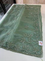 Glass Organza Saree/SP86