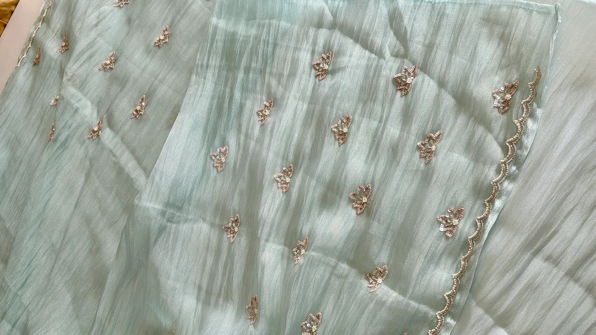 Crushed Organza Saree/ AM118