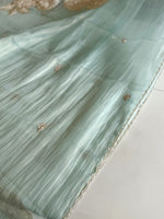 Crushed Organza Saree/ AM118