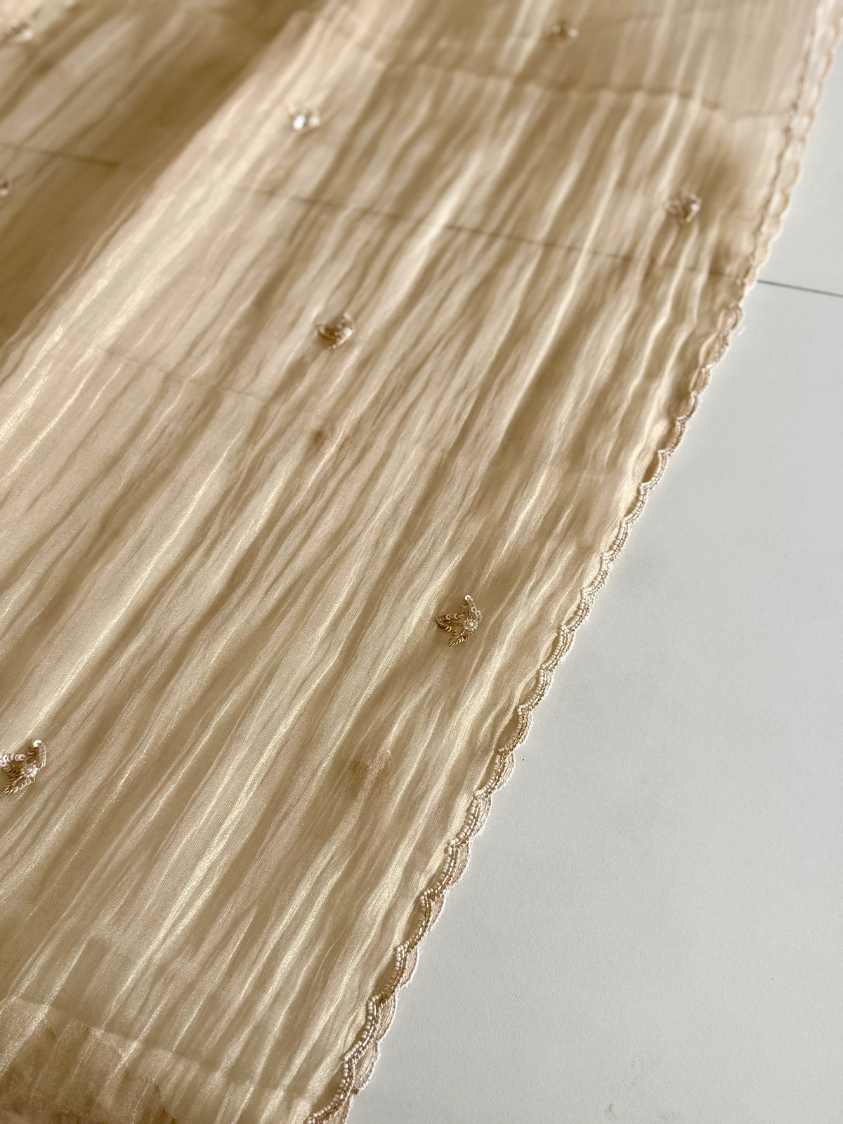 Crushed Organza Saree/ AM118