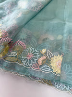 Glass organza Saree/ 155G