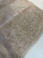 Glass organza Saree/AP810