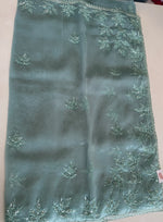 Glass Organza Saree/SP86