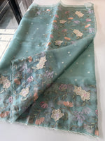 Glass organza Saree/ 155F
