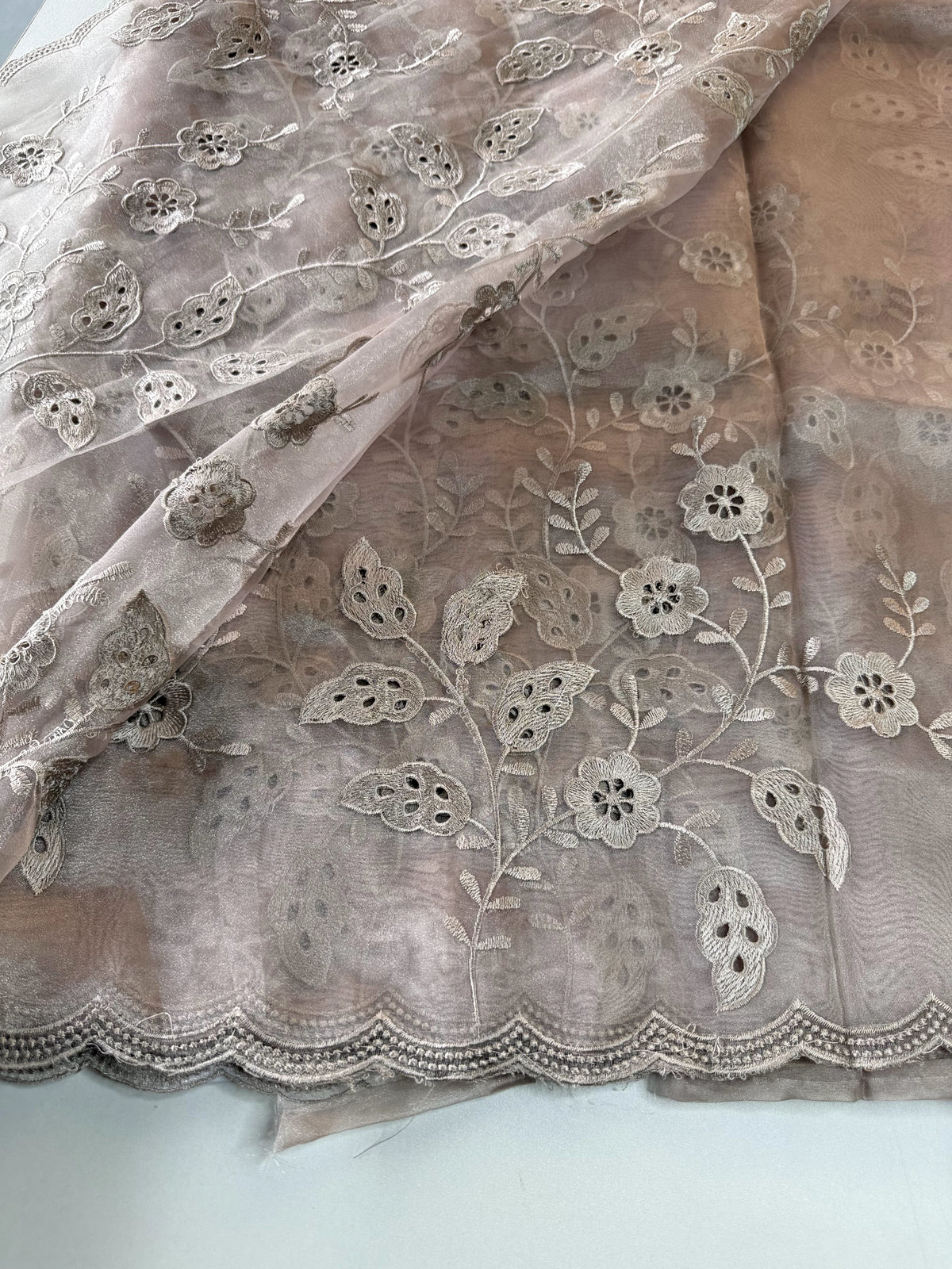 Organza Saree/GCW48