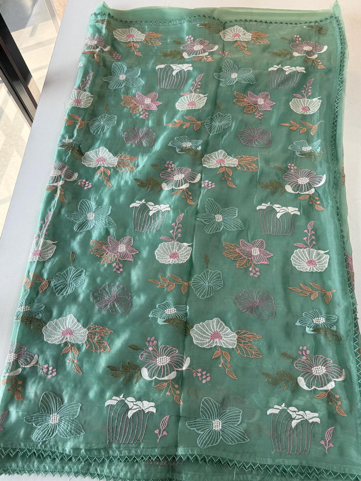 Viscous Organza Saree/ RKF25