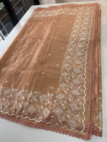 Tissuekotra saree /G3772