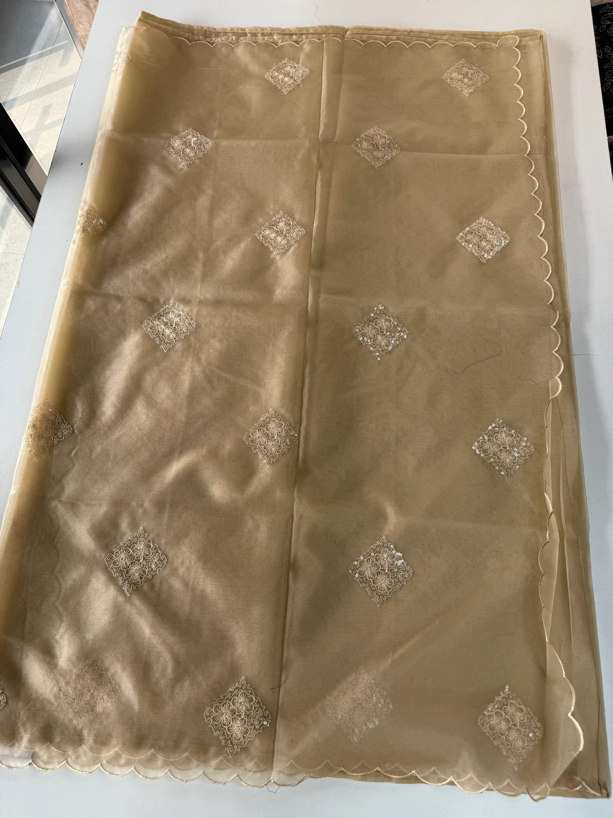 Soft Organza Saree/CW375