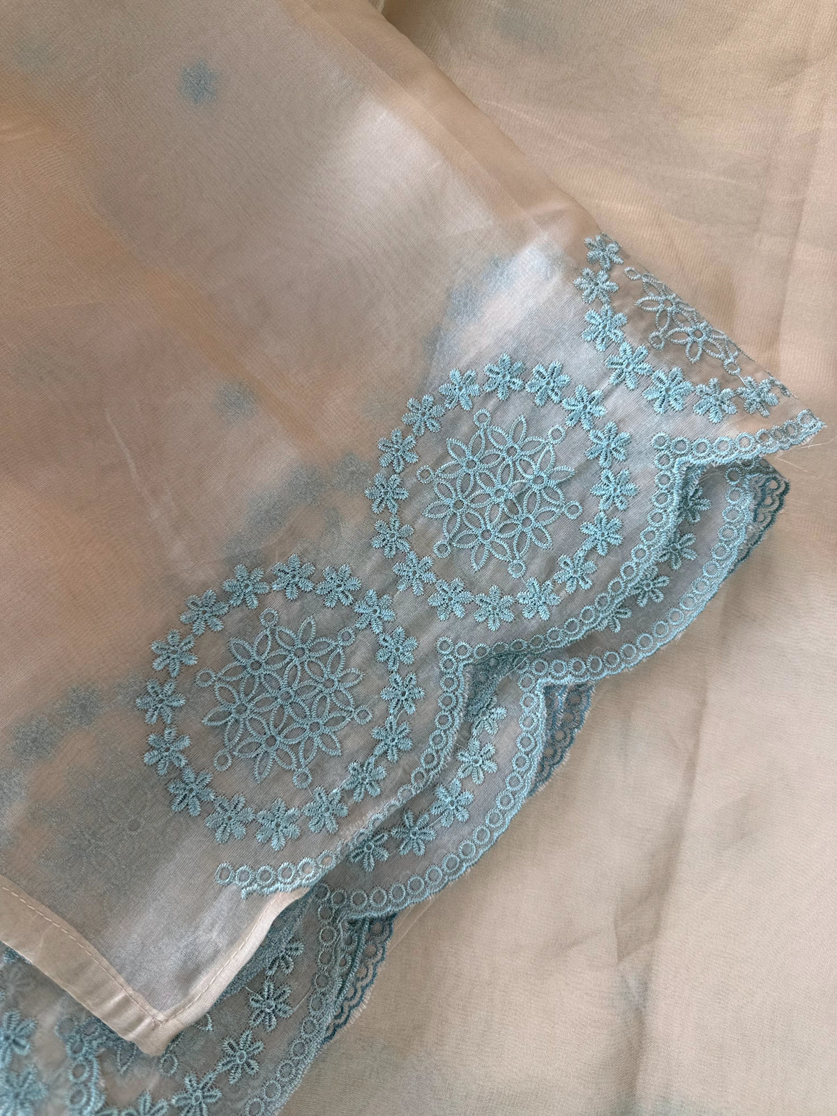 Organza Saree/ CW203