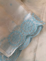 Organza Saree/ CW203