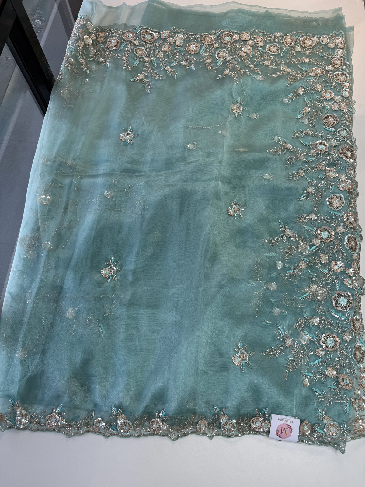 Glass organza Saree/AP810