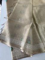 Tissue saree/ SN171