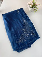 Tissue organza Saree/ HW319